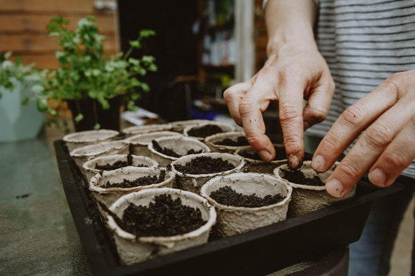 Getting the Most Out of a Short Growing Season