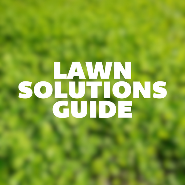 Lawn Solutions Guide