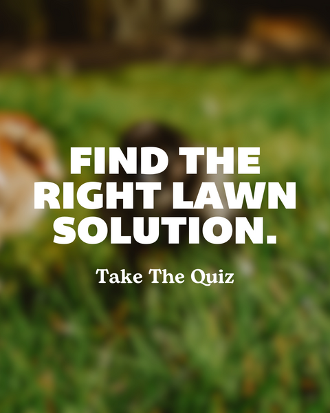 Find The Right Lawn Solution