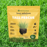 Tall Fescue