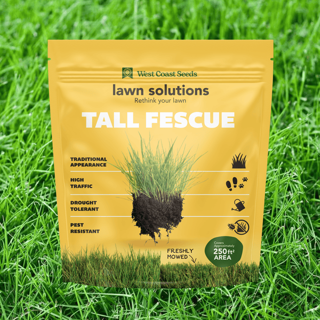 Tall Fescue