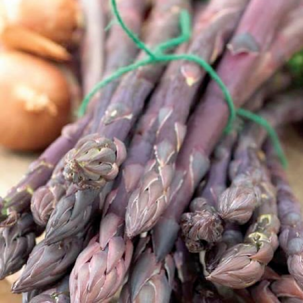 Articles & Instructions