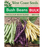Tricolour Bush Beans Bulk Size
