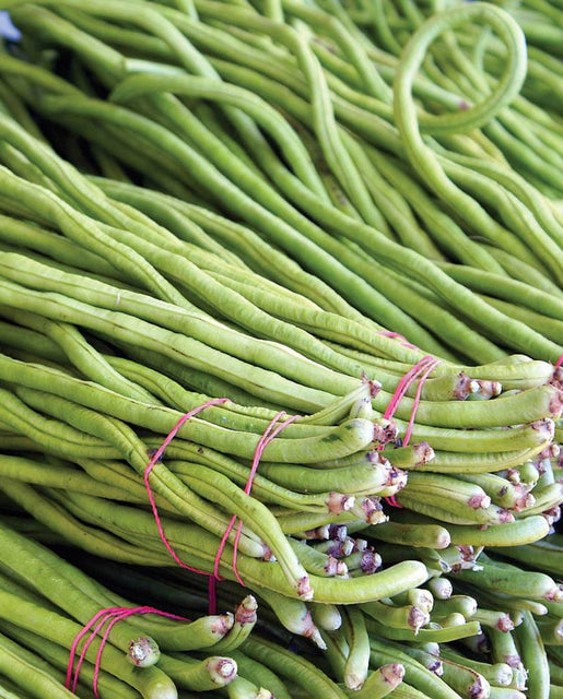 Asparagus Bean Seeds BN165-1