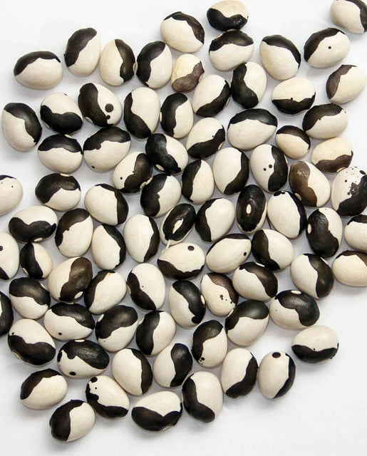 Calypso Bean Seeds