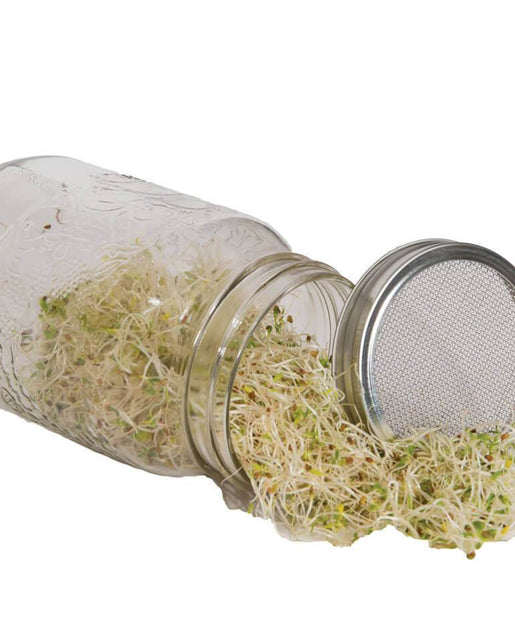 Sprouting Jar with Metal Lid and Seeds HG980-1