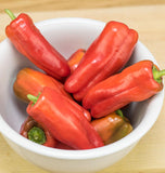 Red Candy Cane Pepper Seeds