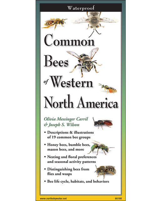 Common Bees of Western North America