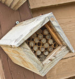 Mason Bee Nesting Tubes ZHG527-1