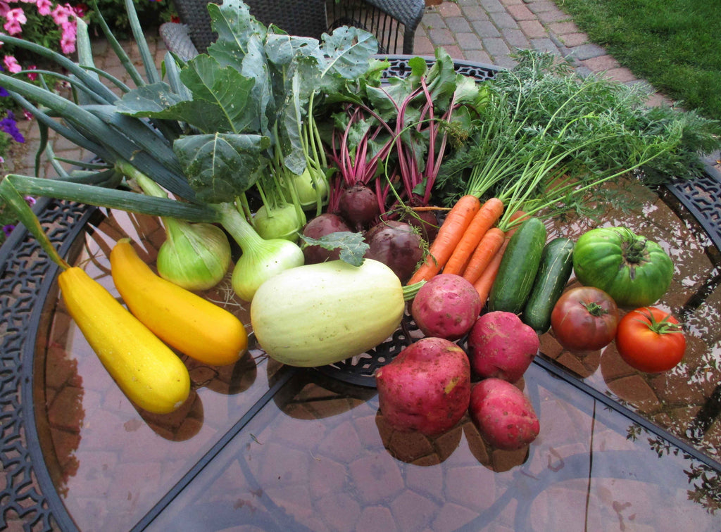Retirees Grow 83,000 lbs of Vegetables for the Calgary Food Bank West