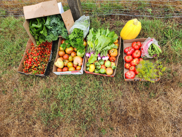 Greenways Land Trust