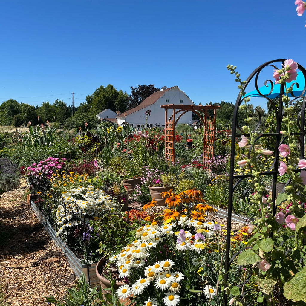 Friends of Luscher Farm – West Coast Seeds