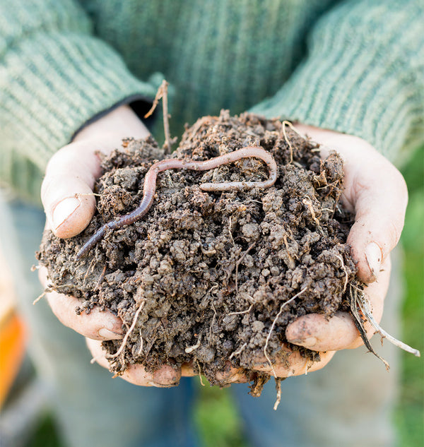 Compost and Composting
