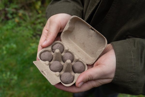 How To Grow Seed Bombs