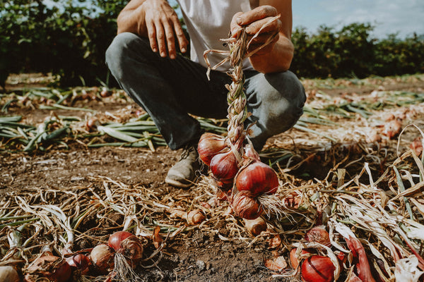 Food-Security; Our Shared Responsibility