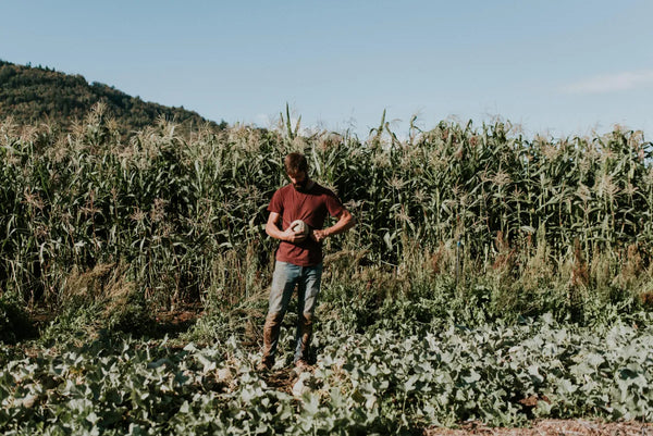 The Importance of Cover Crops
