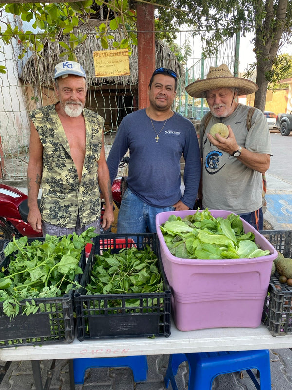 Semillas del Futuro Huerto Comunitario: Seeds of the Future Community Garden