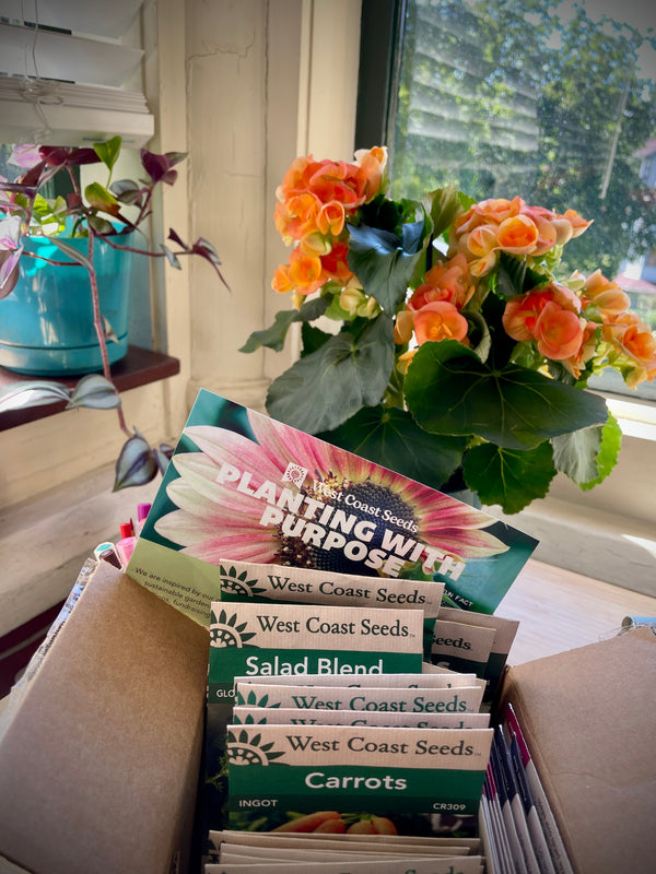 West End Seniors' Network