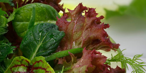 Baby Leaf Salad Recipe