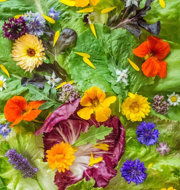 List of Edible Flowers