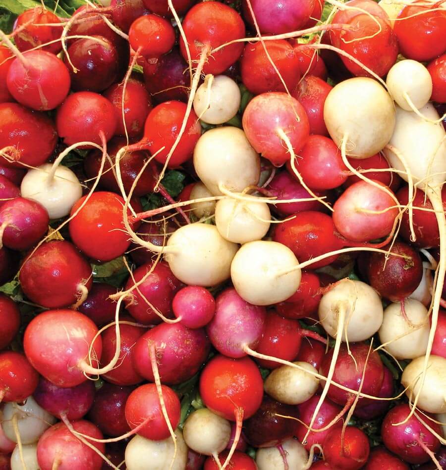 Radishes