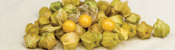 How to grow tomatillos