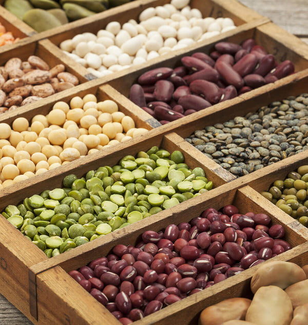 Time to Plant Legumes