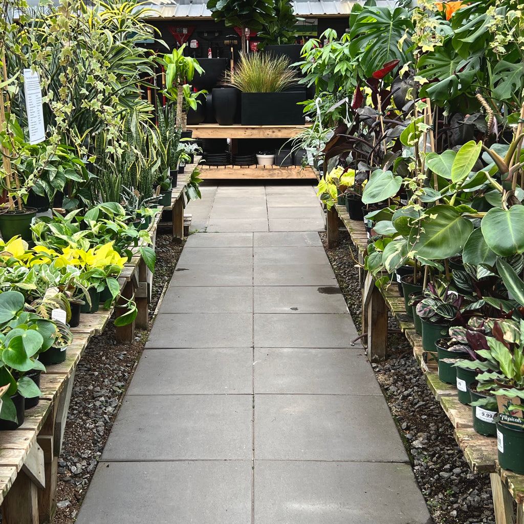 AMSTERDAM ZUIDOOST MEGASTORE TUINCENTRUM visual data 4