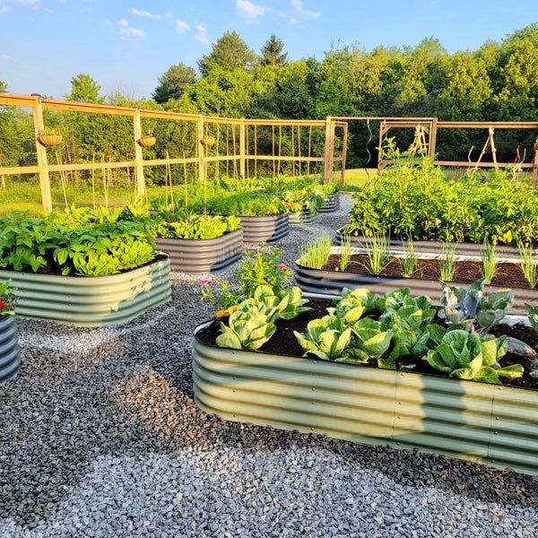 Edible Gardening for Wildﬁre-Resilience