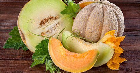 About Melons