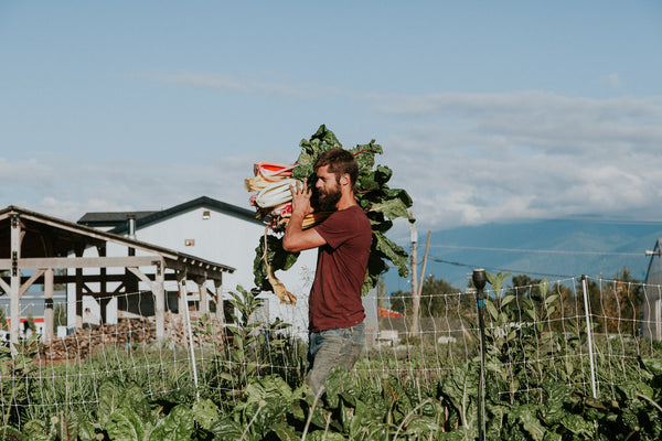 Using Cover Crops to Restore Land