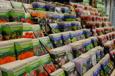 Seeds