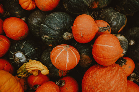 Seeds for Fall & Winter Harvest
