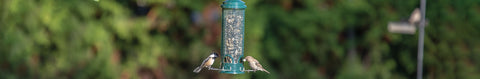 Seed Feeders