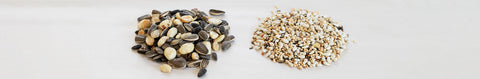 Bird Seeds