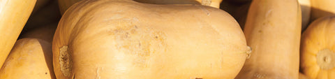 Butternut Squash Seeds