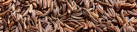 Caraway