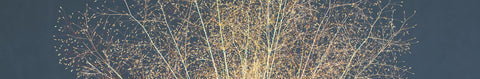 Cloud Grass Seeds