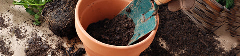 Container Gardening