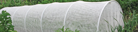 Crop Protection