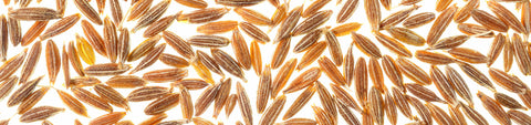 Cumin Seeds