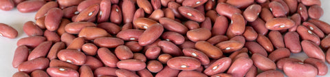 Drying Bean Seeds
