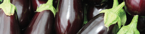 Eggplant Seeds