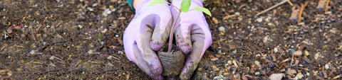 Gloves