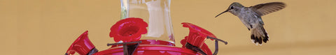 Hummingbird Feeders