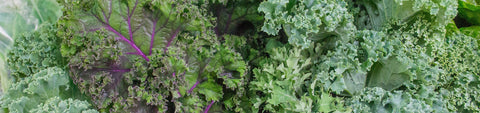 Kale Seeds
