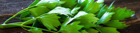 Lovage Seeds