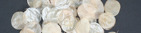 Lunaria Seeds
