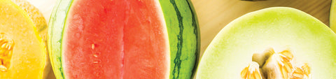 Melon Seeds