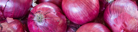 Onion Sets